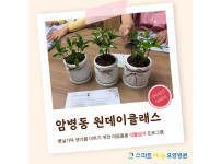 요양병원 사회복지프로그램 - 암병동 식물키우기